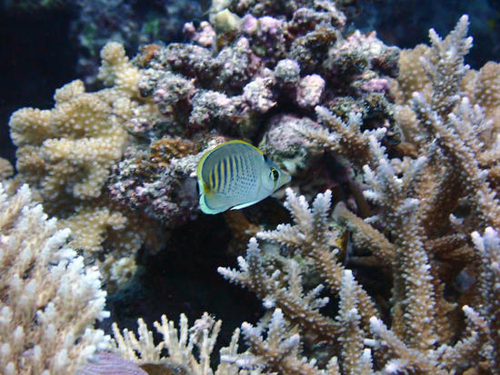 P5261295.jpg