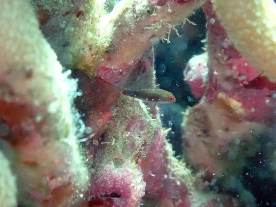 P6153169.jpg