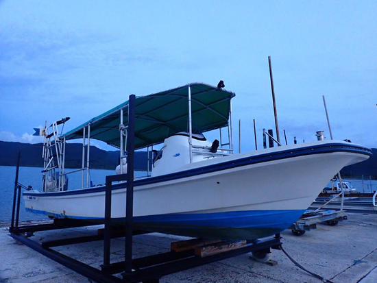 P6258786.jpg