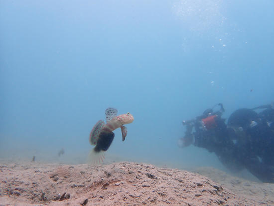 P7047234.jpg