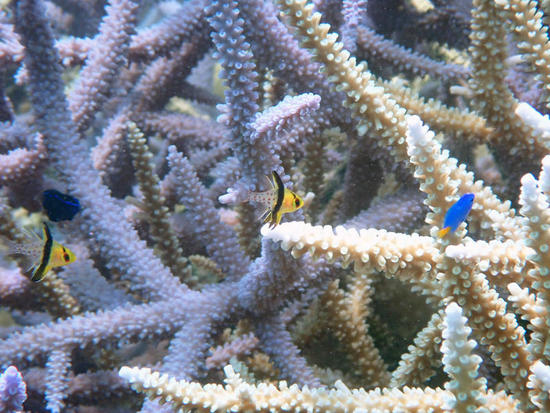 P8275872.jpg