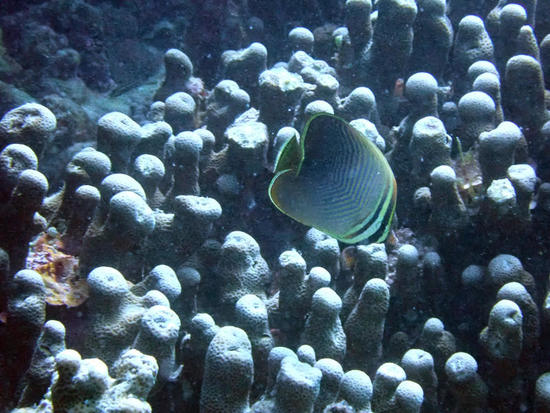 P8296333.jpg