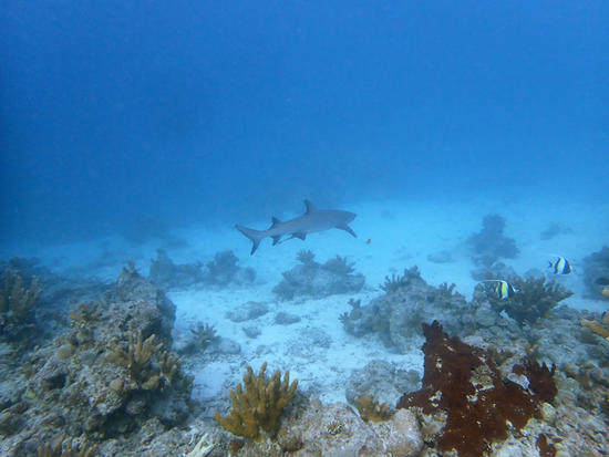 PB014887.jpg