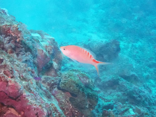 PB105351.jpg