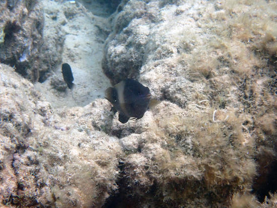 P4141642.jpg