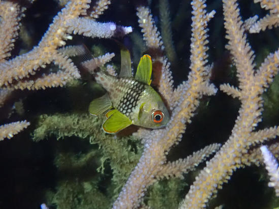 P4151716.jpg