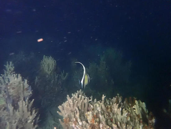 P4151752.jpg