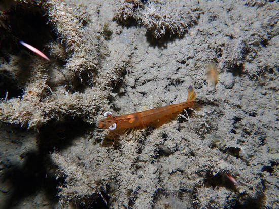 P4151815.jpg