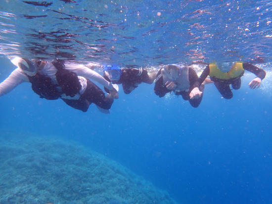 P4161859.jpg