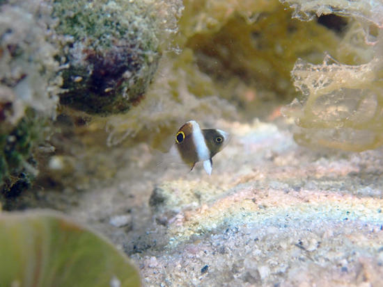 P4282300.jpg