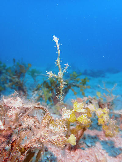 P4292331.jpg