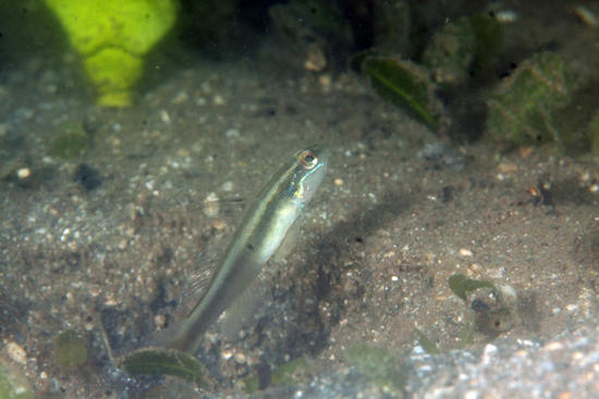 IMG_2560.jpg