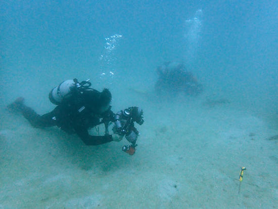 P5062696.jpg