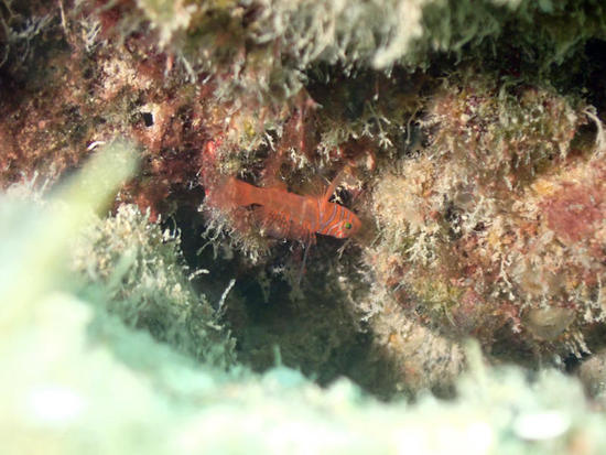 P5113664.jpg