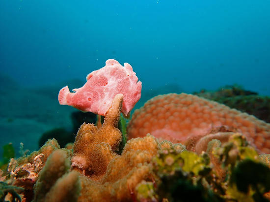 P5304347.jpg
