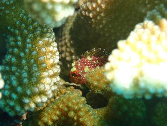 P6289925.jpg