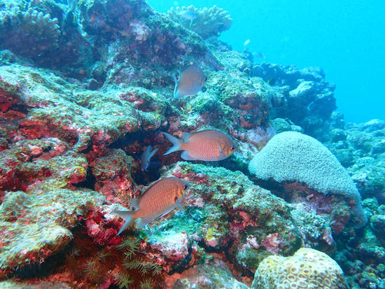 P7010624.jpg