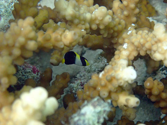 P7010866.jpg