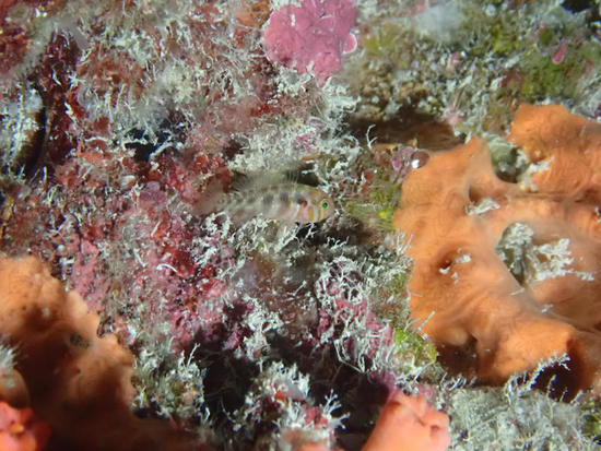 P7141169.jpg