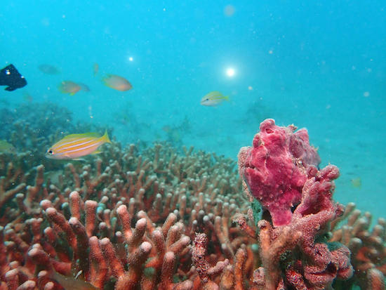 P7151420.jpg