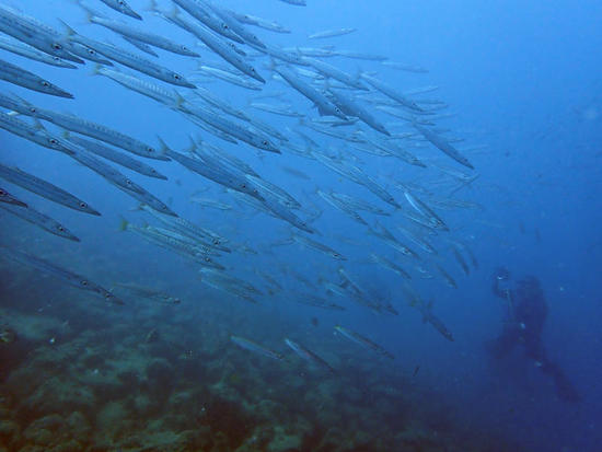 P7181623.jpg
