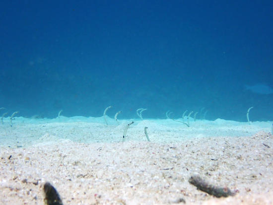 P7201720.jpg