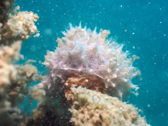 P7201921.jpg