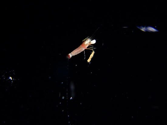 P7201974.jpg