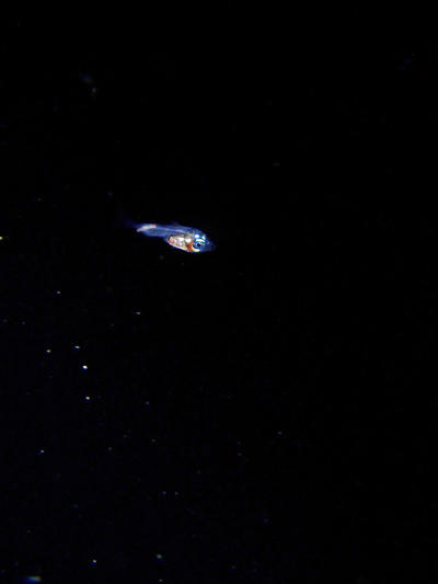 P7201983.jpg