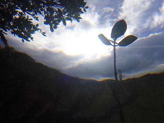P7242375.jpg