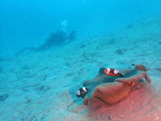 P7252643.jpg