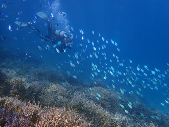 P8134730.jpg