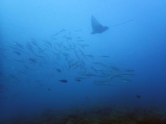 P8144852.jpg