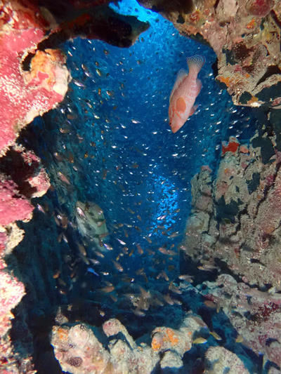 P8225755.jpg