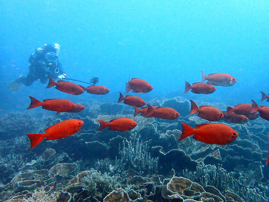 P8276342.jpg