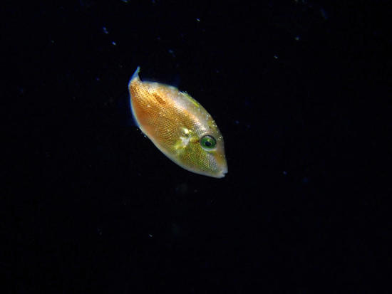 P8300005.jpg