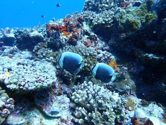 P8306981.jpg