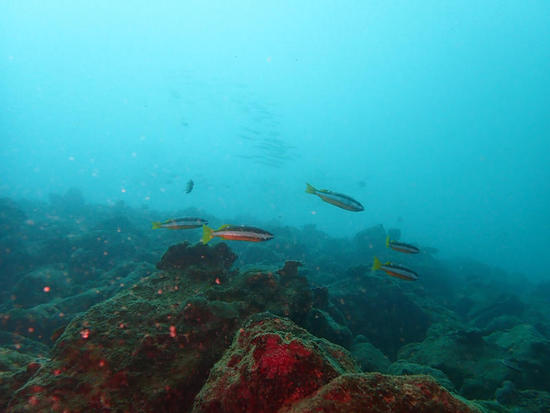 P9057166.jpg