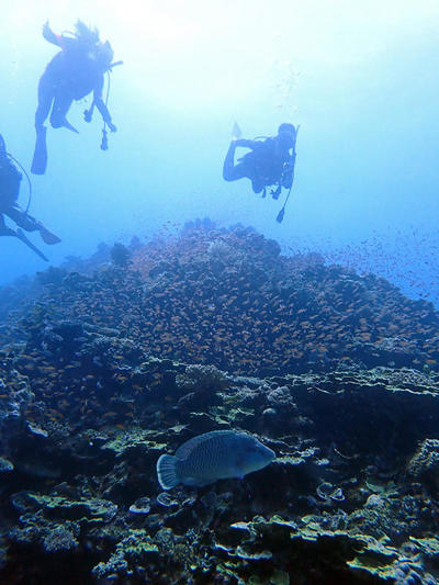 P9220130.jpg