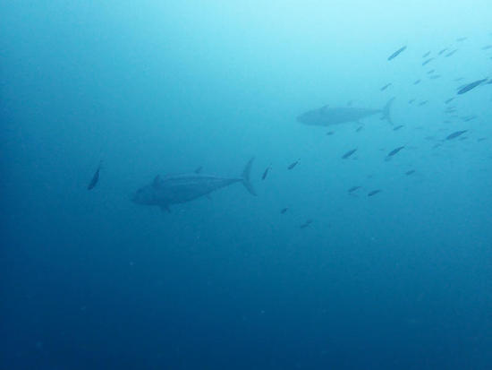 P9220187.jpg