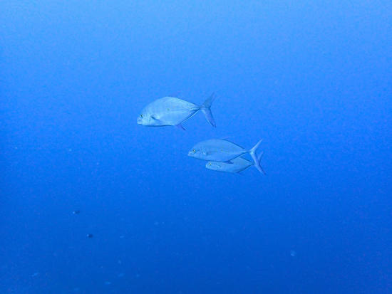P9230242.jpg