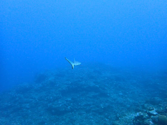 P9230247.jpg