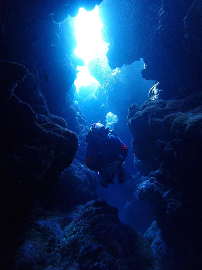 P9230577.jpg