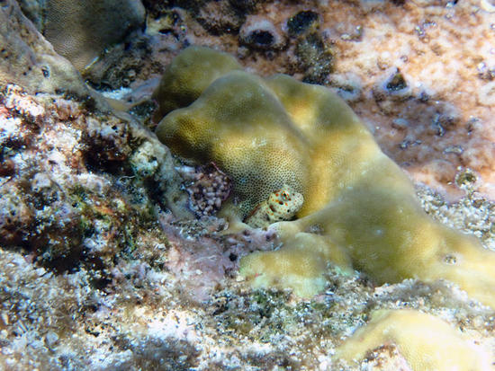 P9282542.jpg