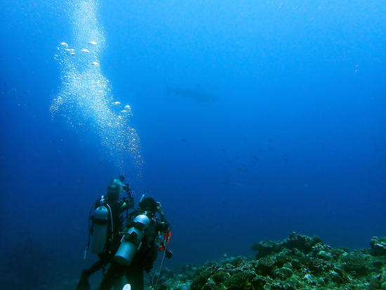 P9282565.jpg