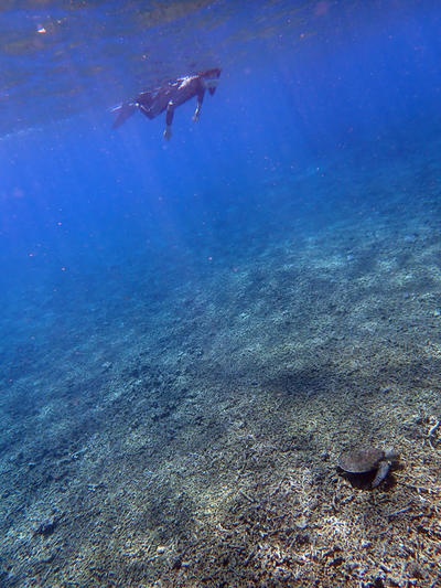 P9292762.jpg