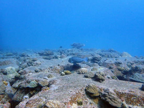 PA010099.jpg