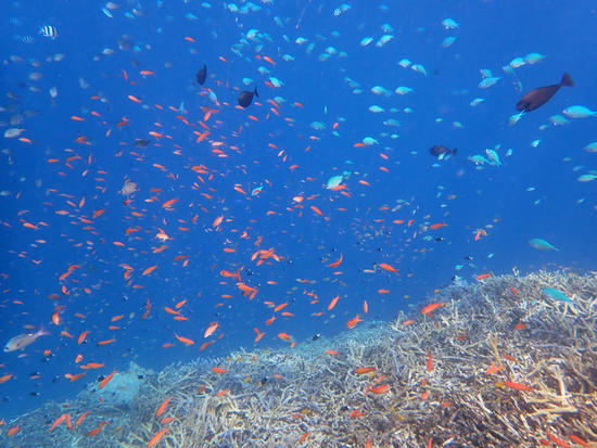 PA010113.jpg