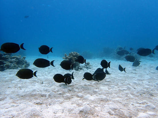 PA040314.jpg
