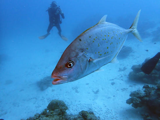 PA100430.jpg